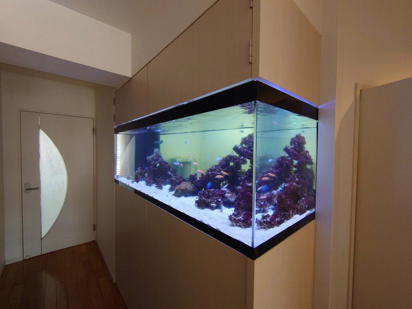 大村市古賀島町 個人宅 様 - レンタルアクアリウム（熱帯魚水槽・水草